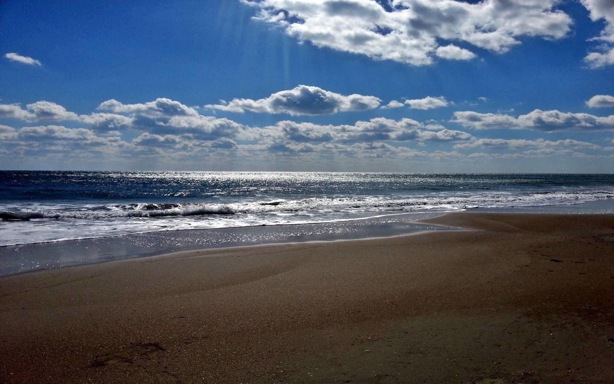 Ocean Beach Hotel Taean Dış mekan fotoğraf