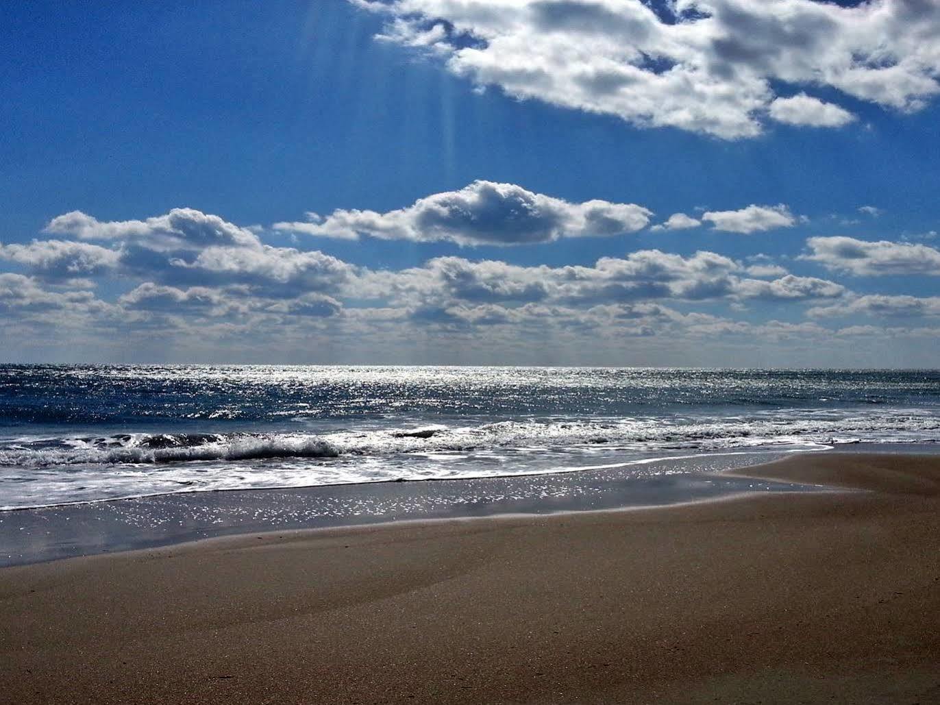 Ocean Beach Hotel Taean Dış mekan fotoğraf